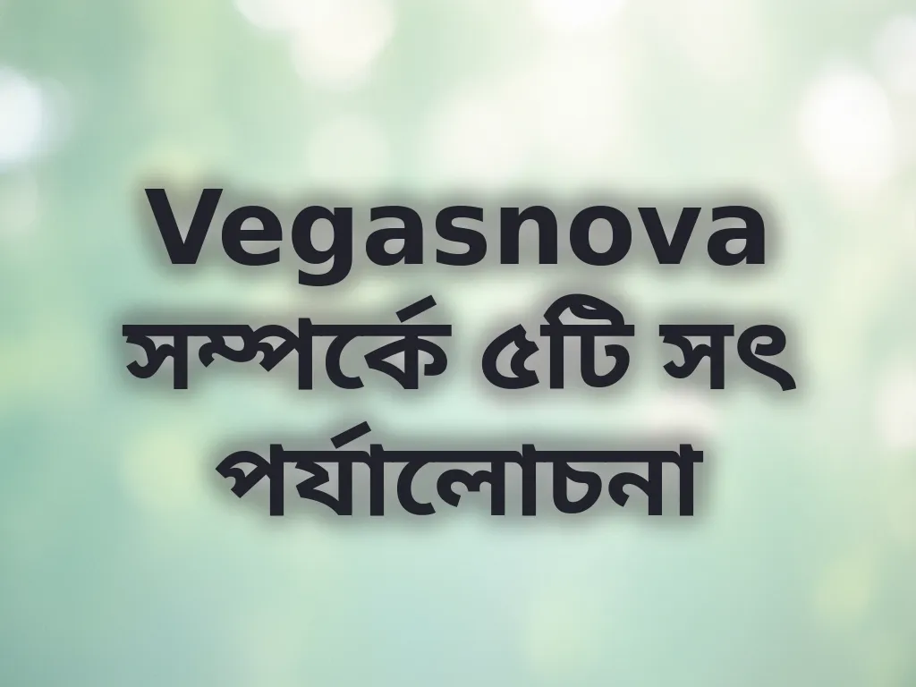 Vegasnova পর্যালোচনা